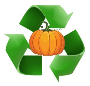 PW RECYCLED PUMPKIN pic